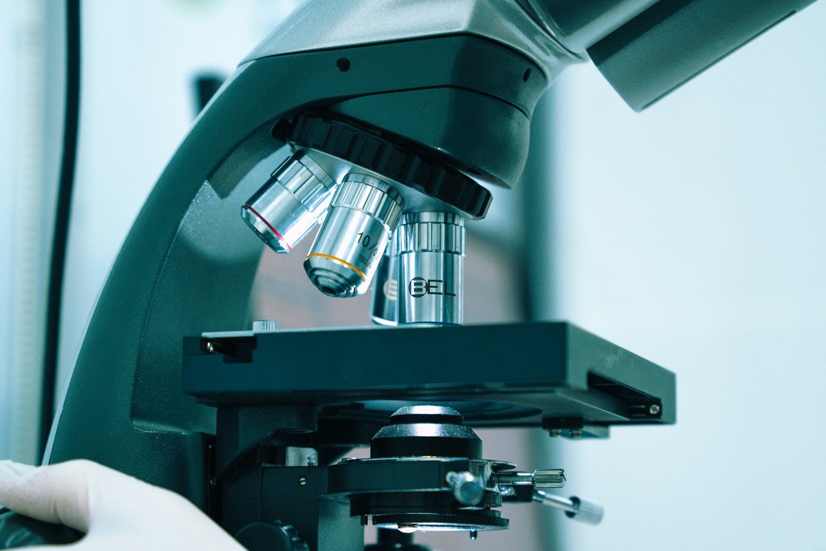 How Kratom Botanical Identity Is Tested: Microscopy, Chemistry, and DNA