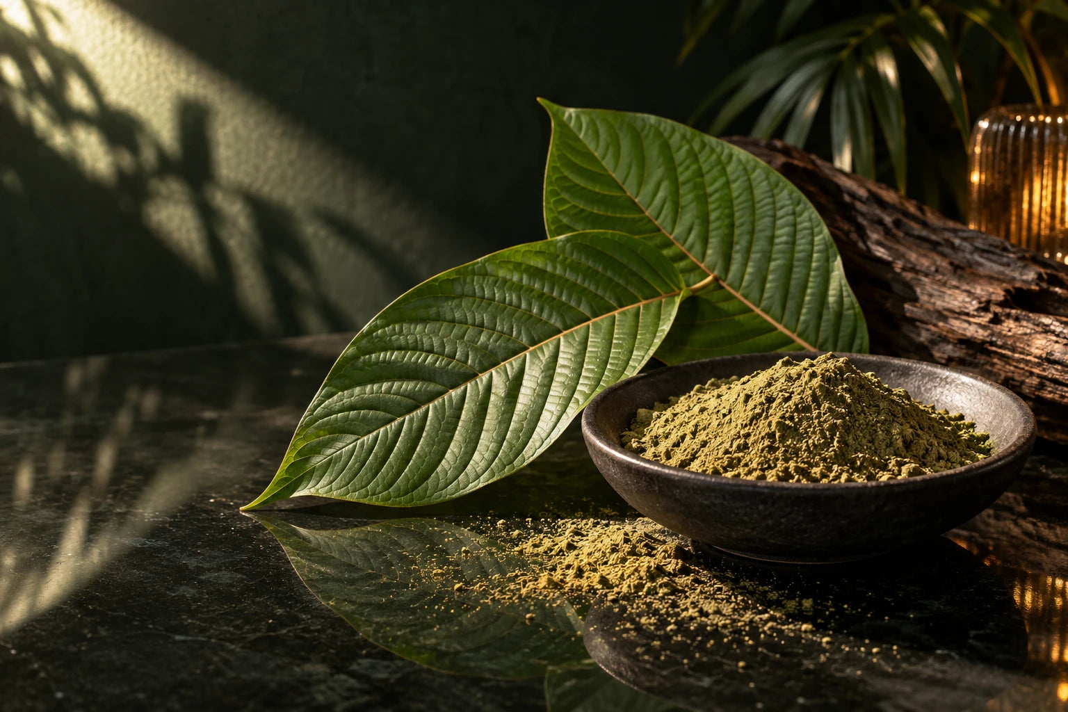 A botanical still life of broad green leaves and finely milled leaf powder in a charcoal dish