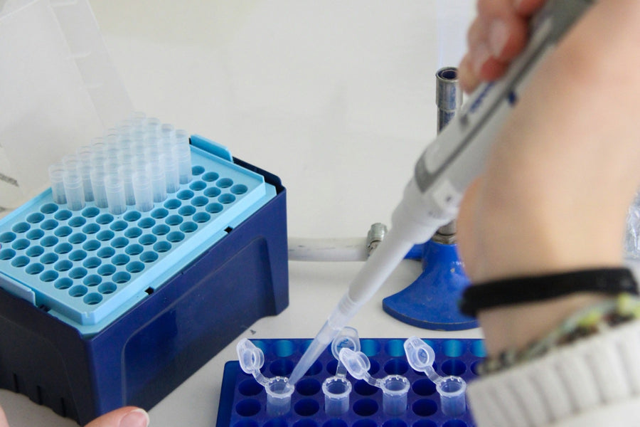 Heavy Metals and Microbes in Kratom: How Lab Testing Works