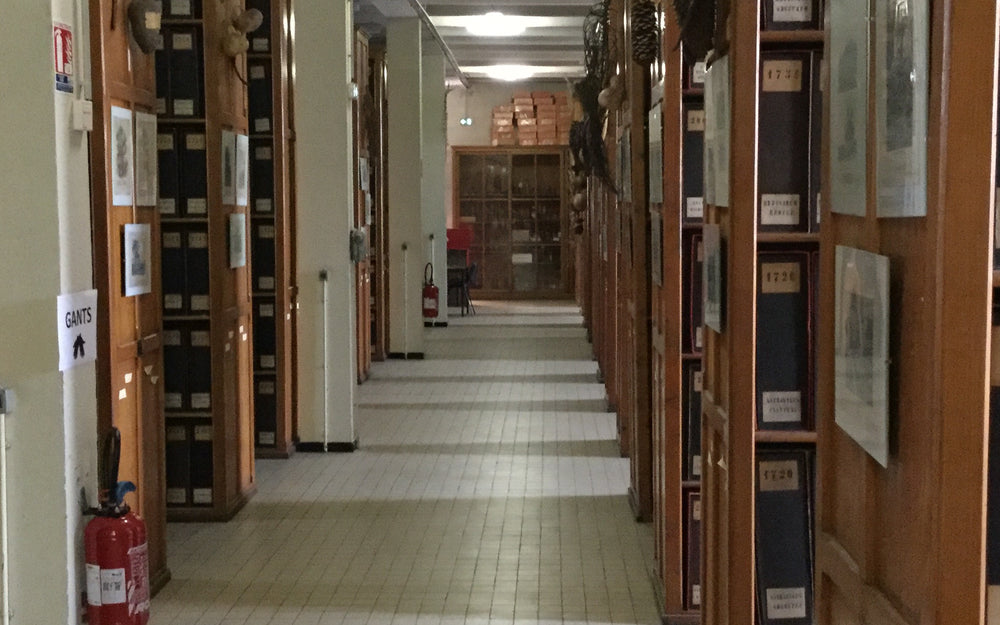 Rows of archival herbarium cabinets holding preserved botanical records