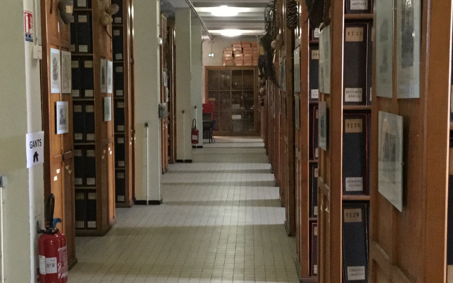 Kratom in Colonial-Era Records: Botany, Museums, and Early Regulation