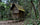 Traditional granary within a diverse agroforest in West Kalimantan, Indonesia
