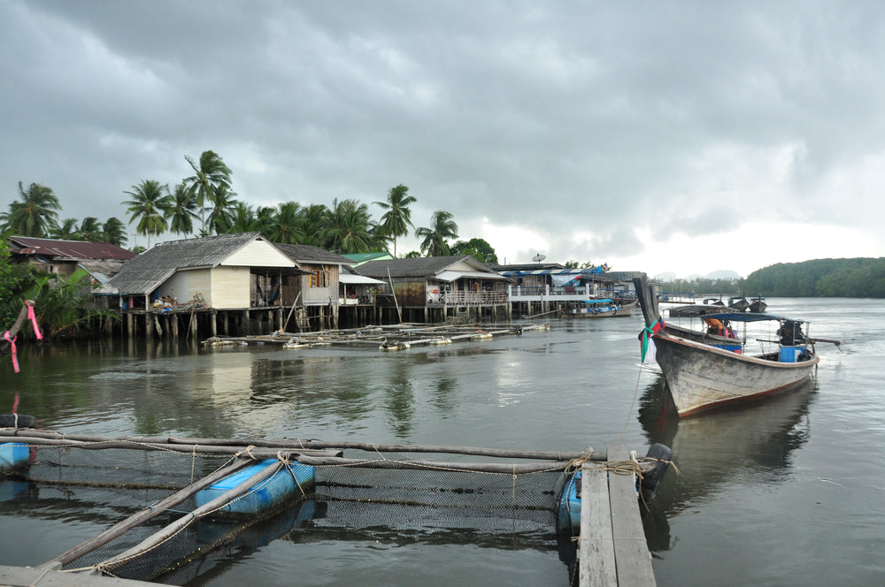 Fishing village and long-tail boat on a river near Krabi in southern Thailand