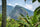 Bright tropical mountain landscape framed by palms in Bali, Indonesia